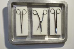 surgical-scissorsdetail-scaled