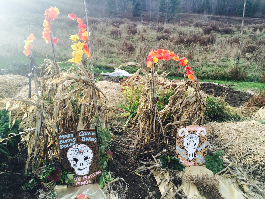 M.O.E.L. Day of the Dead altars