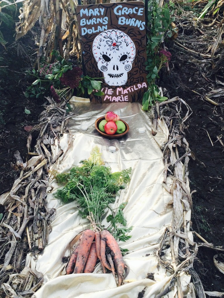 altar to mary burns dolan