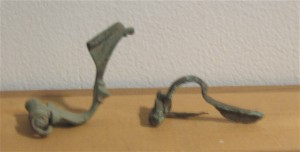 simple fibula_2980